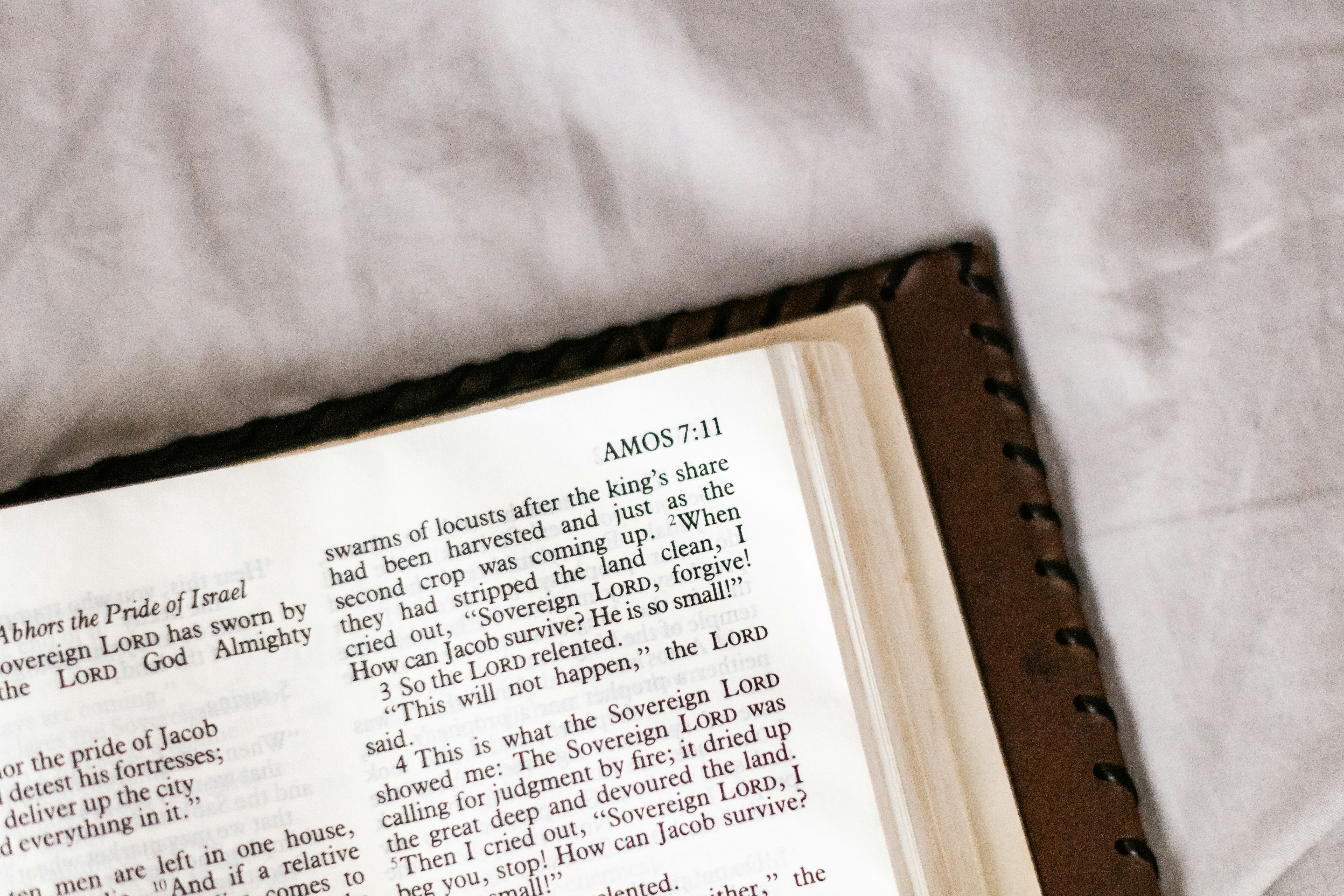 Photo by sincerelymedia