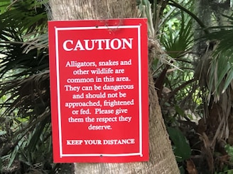 A red caution sign is attached to a tree, warning about the presence of alligators, snakes, and other wildlife in the area. It advises not to approach, frighten, or feed the animals and emphasizes maintaining a respectful distance.