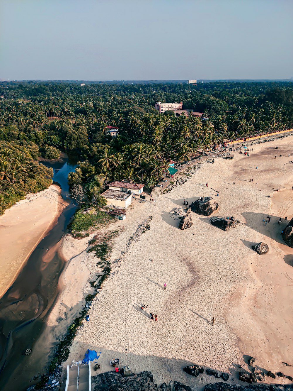 aerial view of green trees and white sand beach during daytime