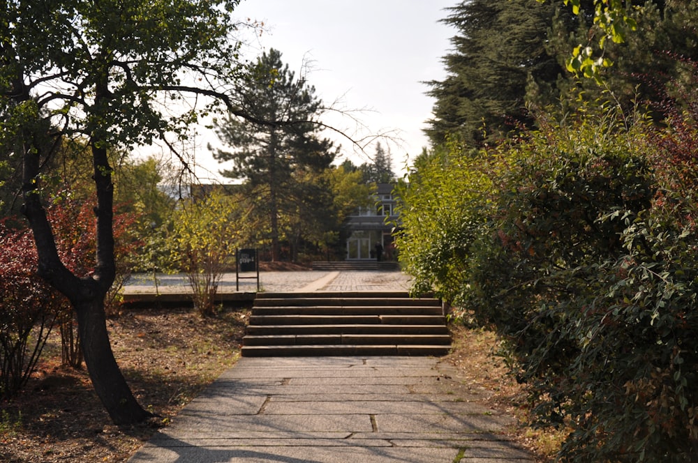 brown wooden bench near green trees during daytime