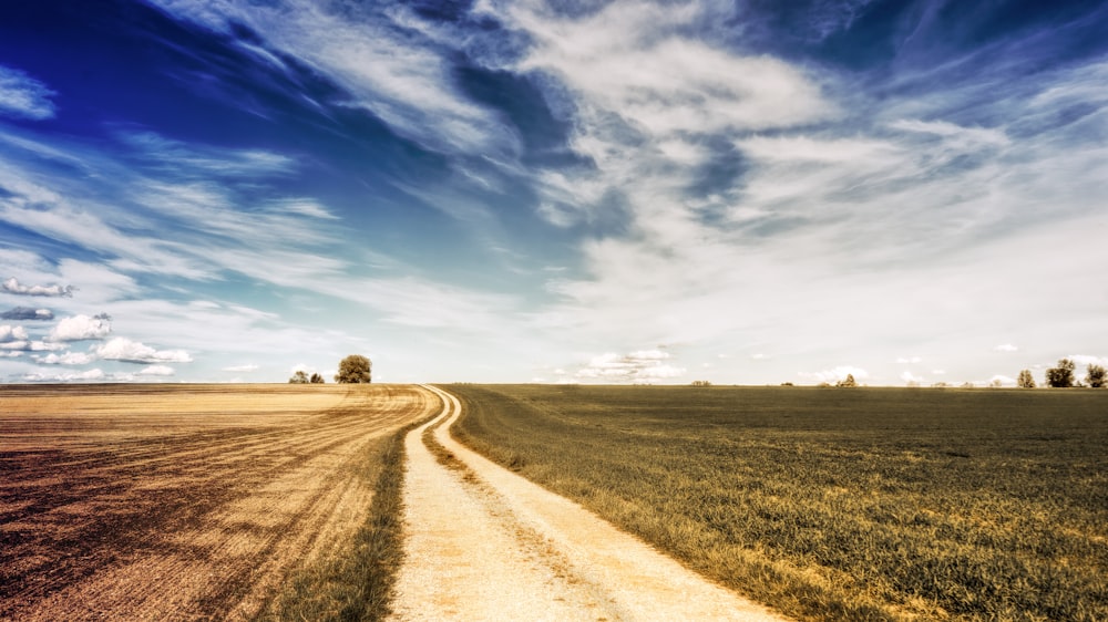 brown field under blue sky and white clouds during daytime