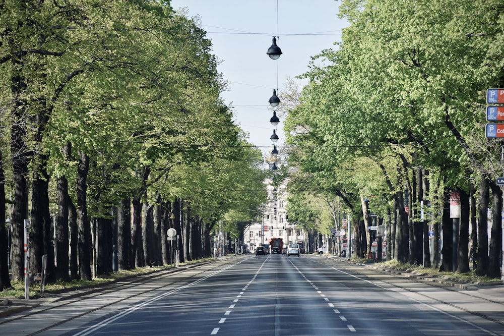 people walking on street during daytime