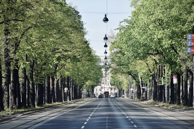 A tree-lined stretch of the Ringstrasse boulevard with ornate hanging street lamps leading toward a grand building.
