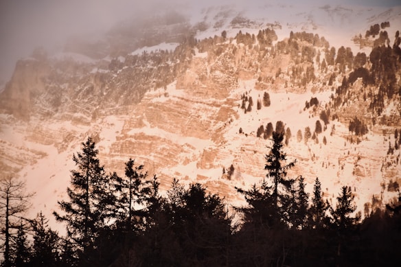 A snow-covered mountain landscape with a rocky cliff face and scattered coniferous trees. The foreground features dark silhouettes of evergreen trees, and there is a light mist or fog partially obscuring the top of the mountain.