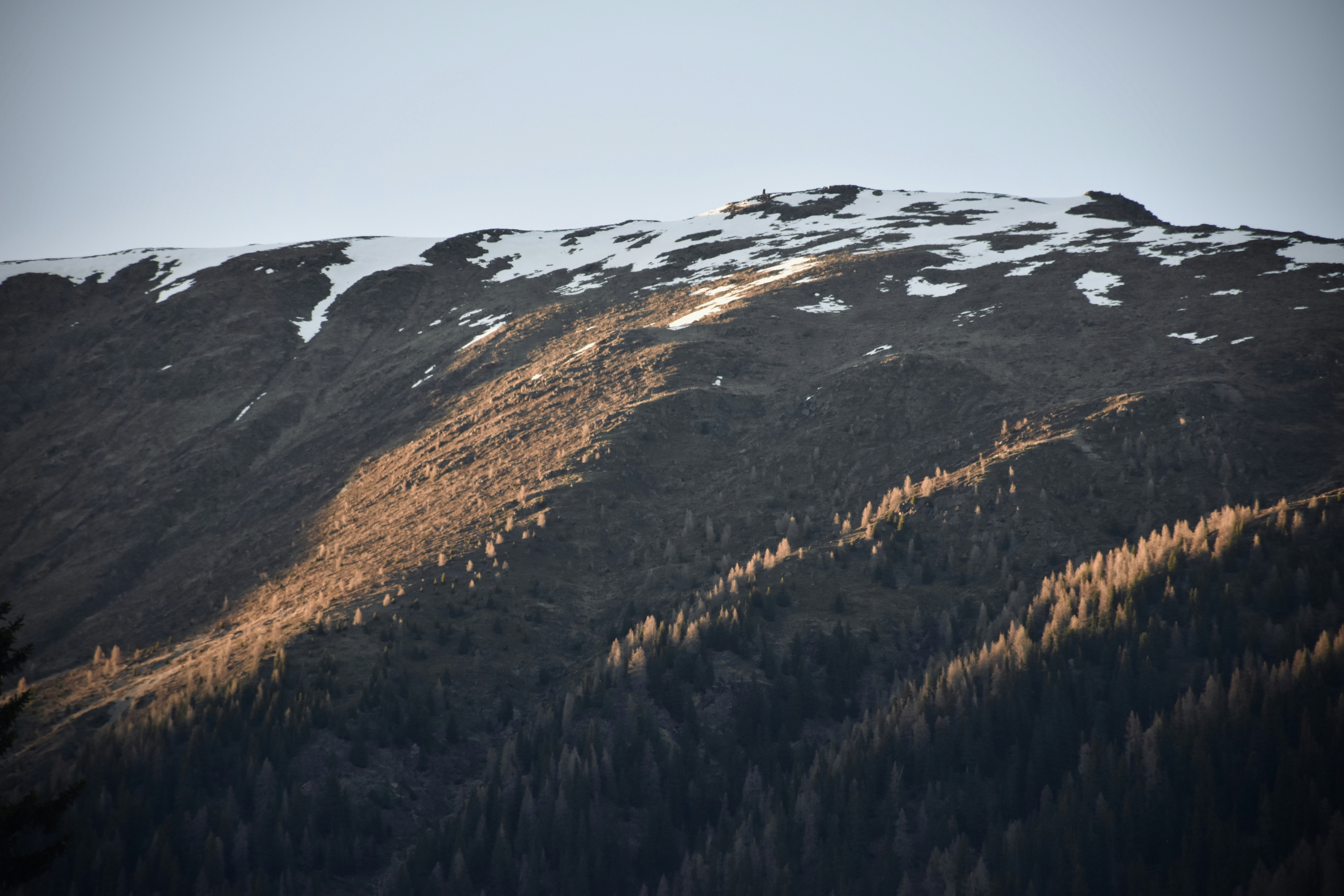 Photo by arnosenoner