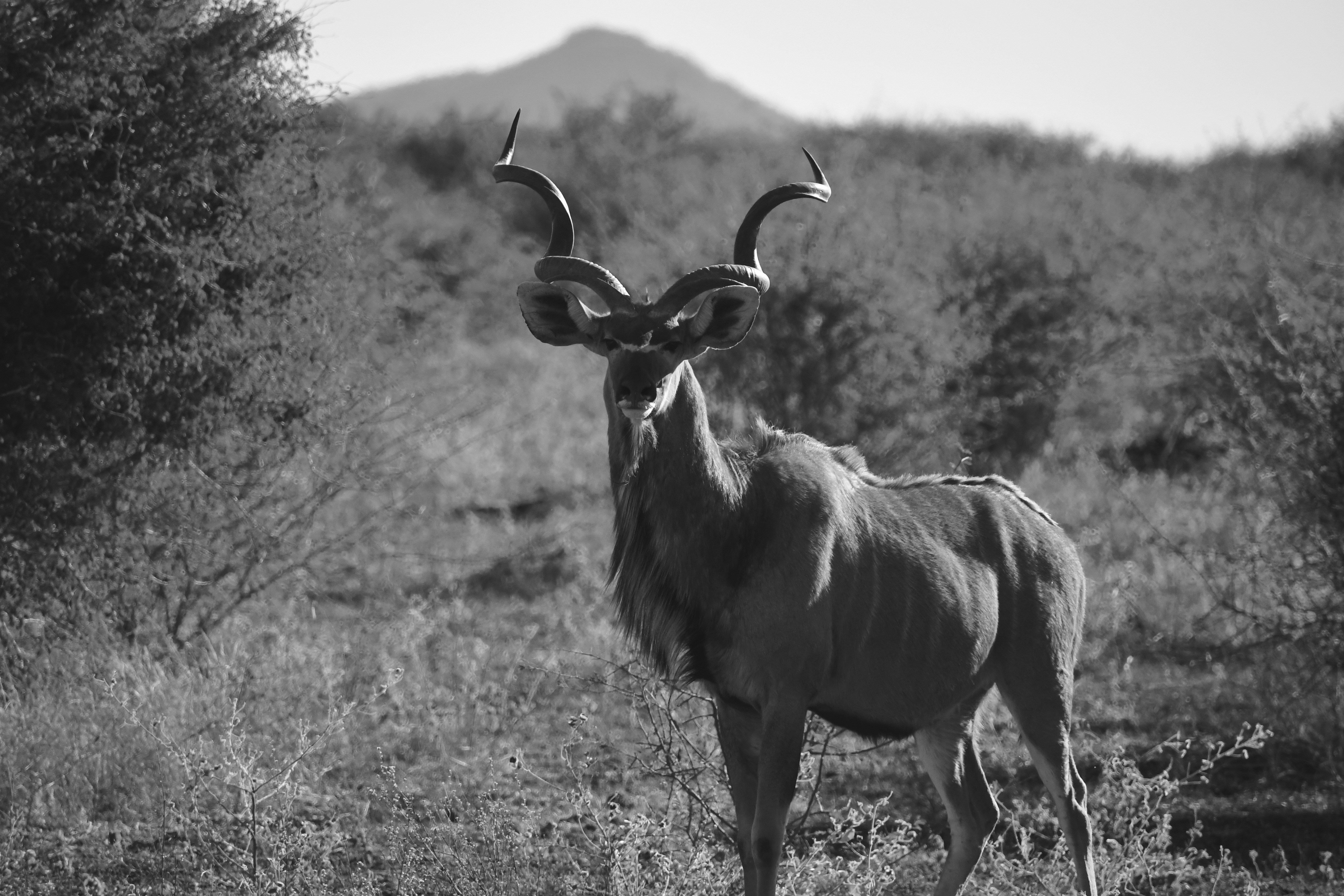 Photo by jackcharles