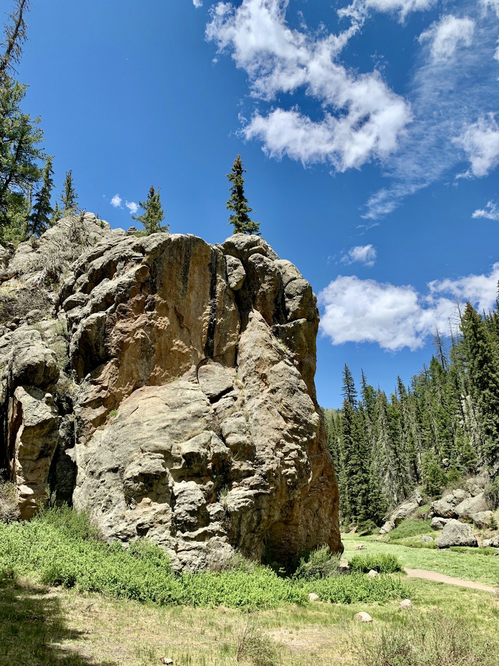 green pine trees on brown rock formation under blue sky during daytime