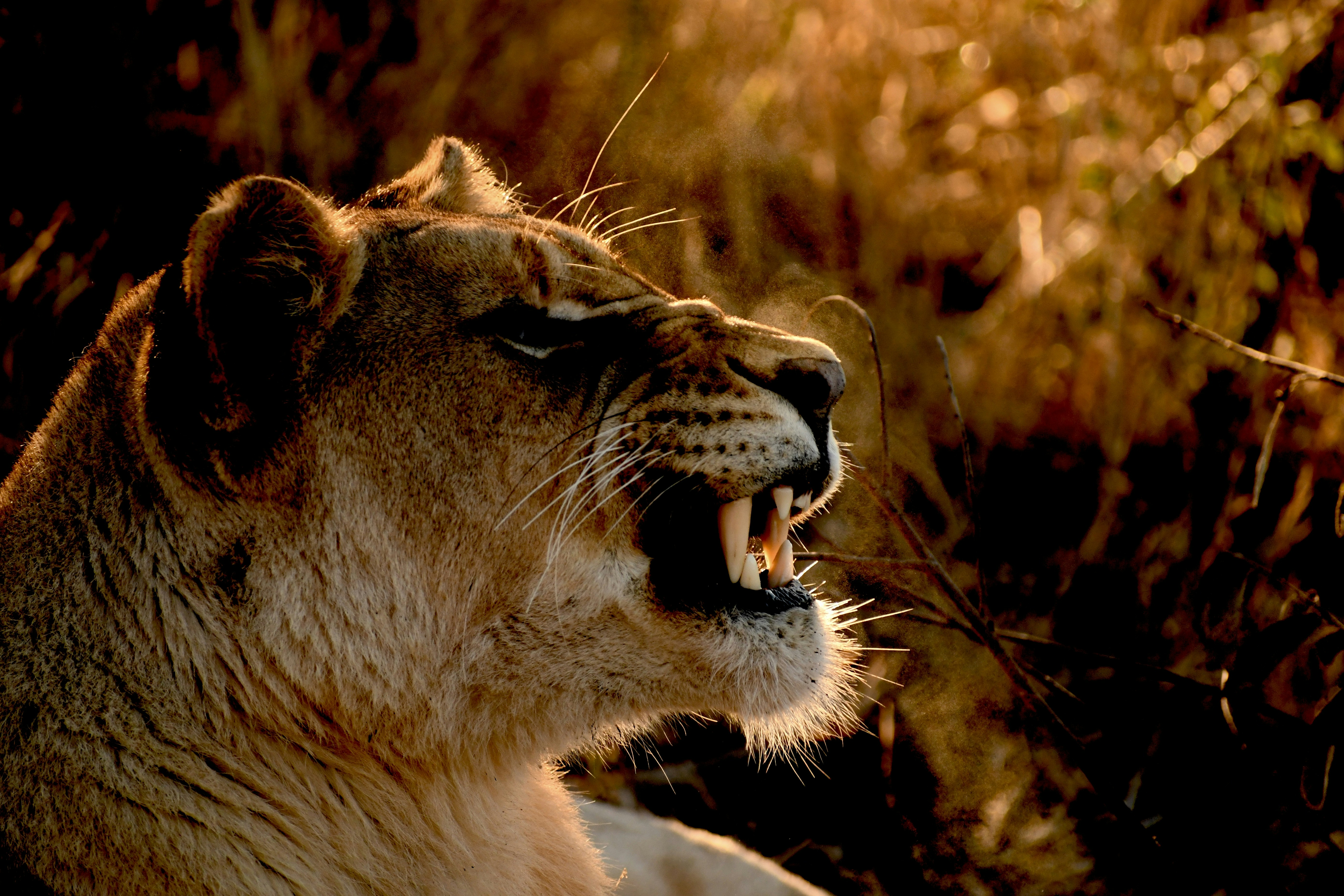 Photo by jackcharles