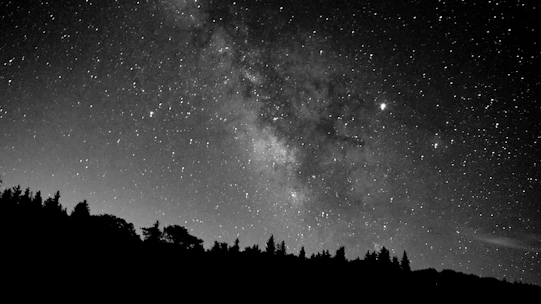 A stunning view of the Milky Way galaxy shining brightly over a dark forest.