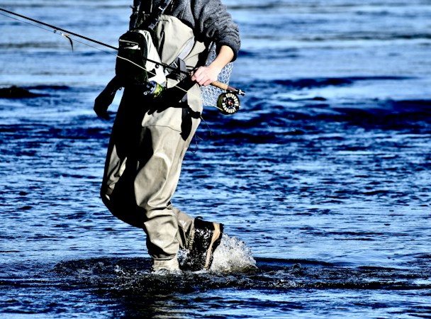 Angler in gray chest waders and wading boots striding through shallow blue water with a rod and reel in one hand, face out of frame
