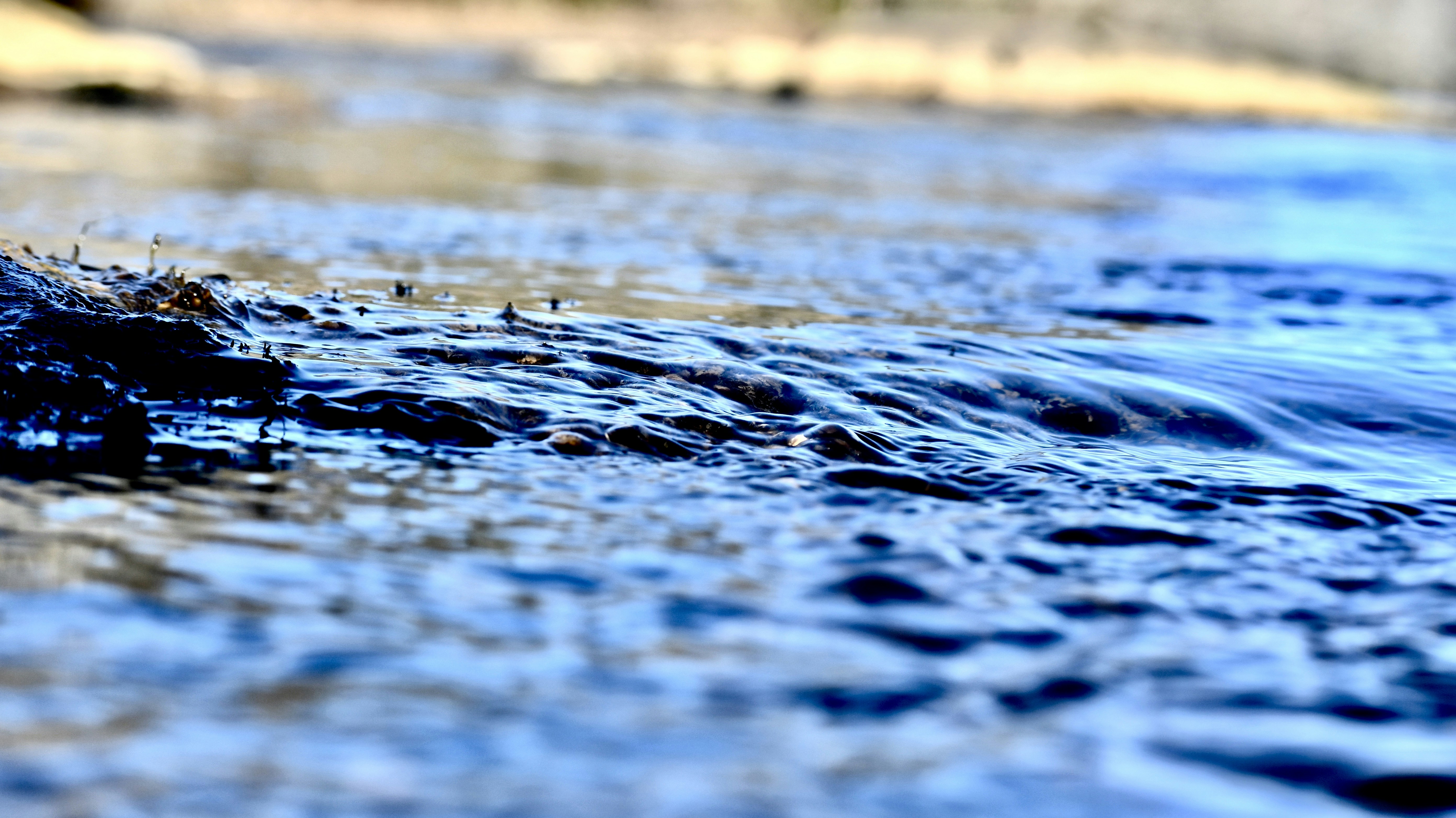 Photo by jackcharles