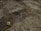 A close-up image of a rocky terrain with small stones, pebbles, twigs, and patches of dry soil scattered across the surface. The texture of the rocks is rough, with visible cracks and crevices.