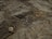 A close-up image of a rocky terrain with small stones, pebbles, twigs, and patches of dry soil scattered across the surface. The texture of the rocks is rough, with visible cracks and crevices.