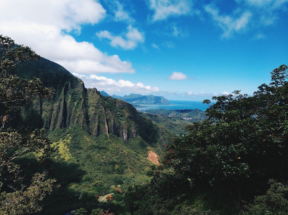 green trees on mountain under blue sky during daytime