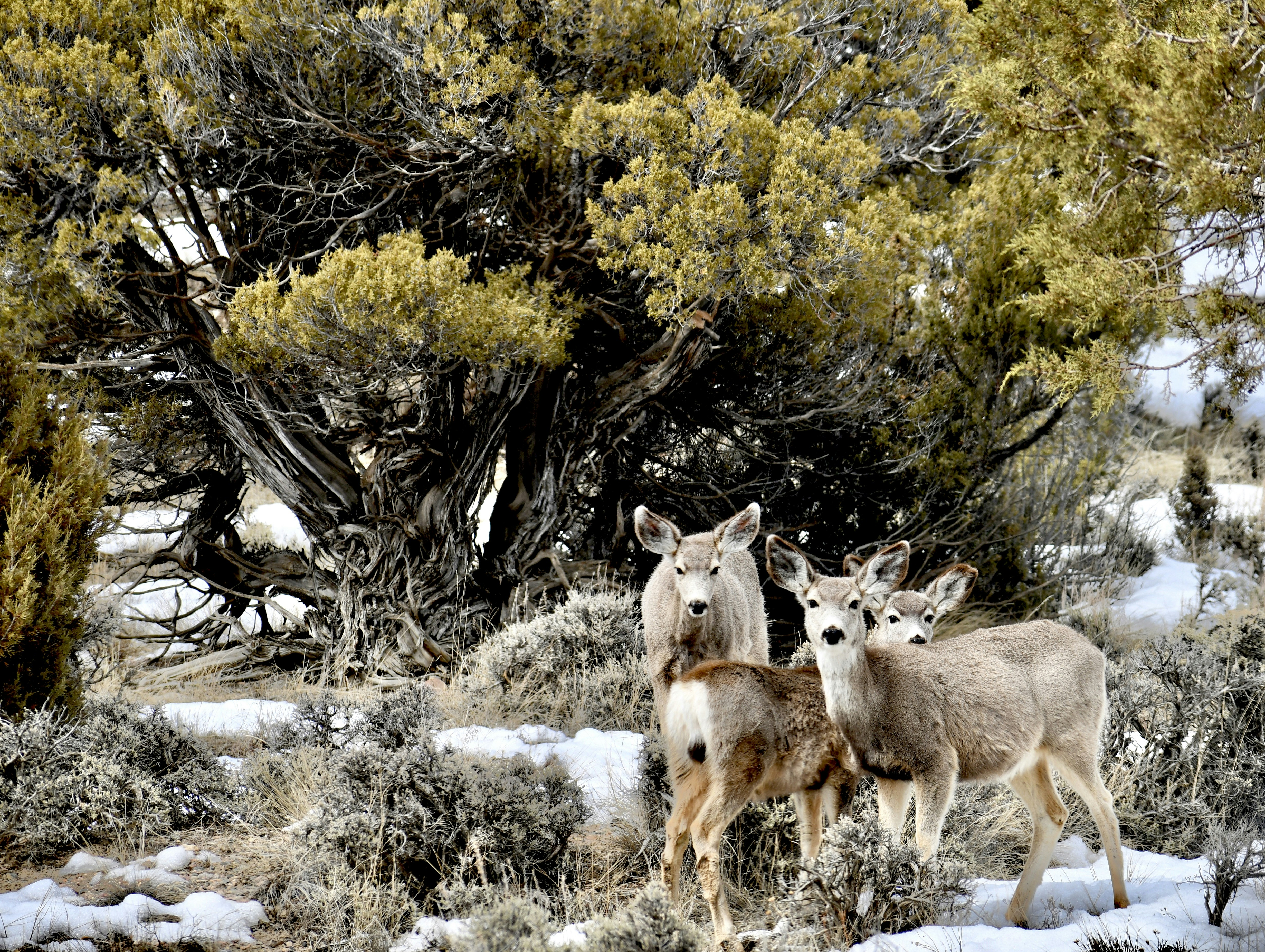 Photo by jackcharles