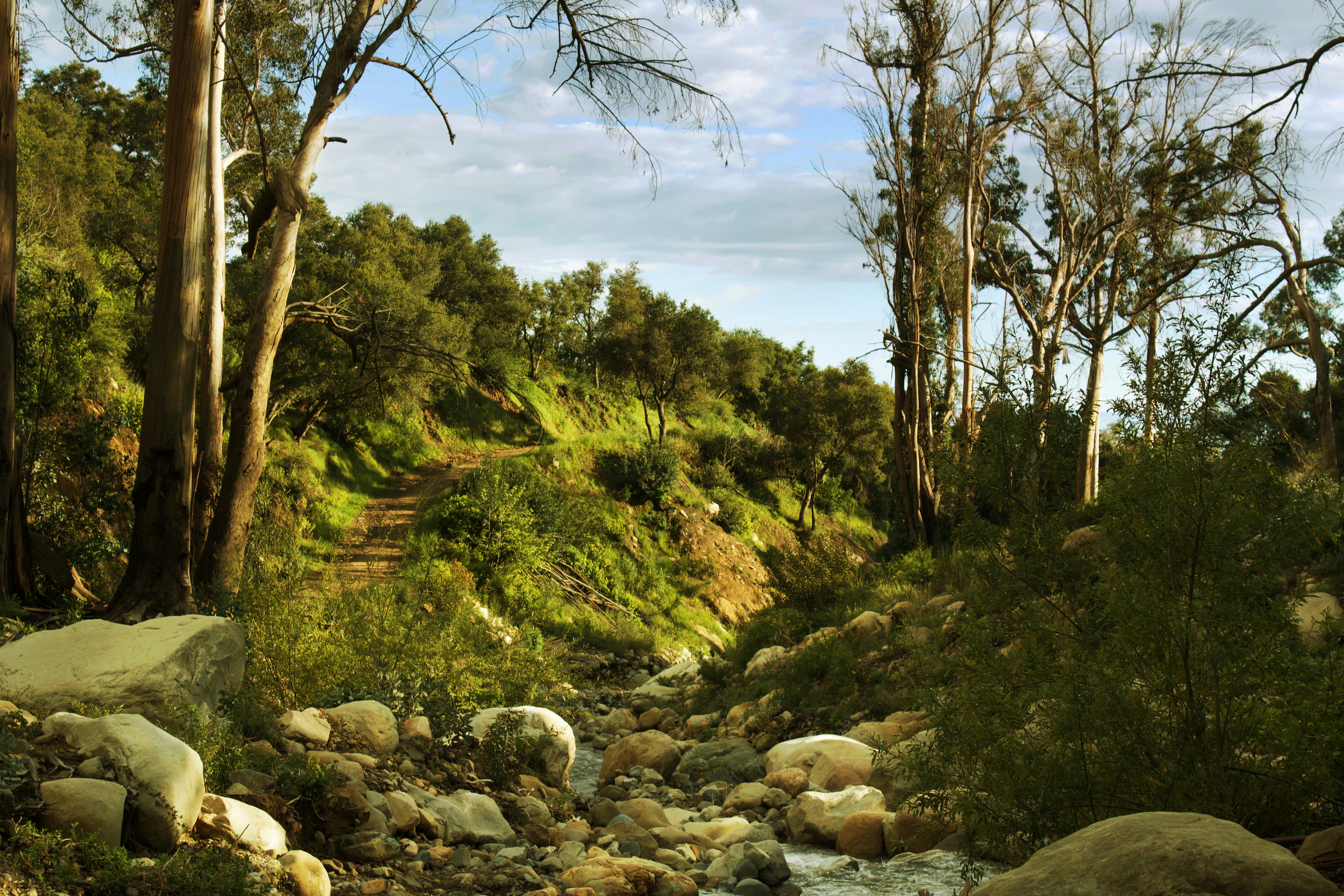 Photo by connorwiegmann