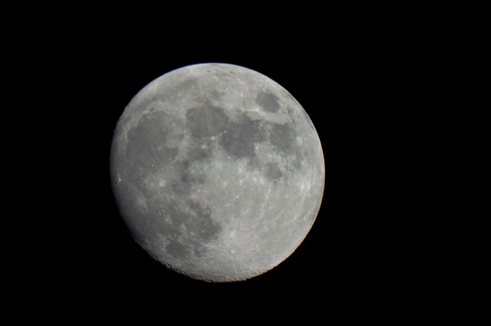 full moon on white background