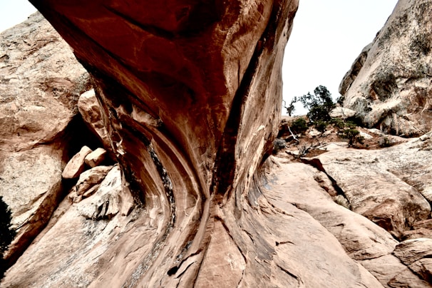 An unusual natural formation that sparks curiosity.