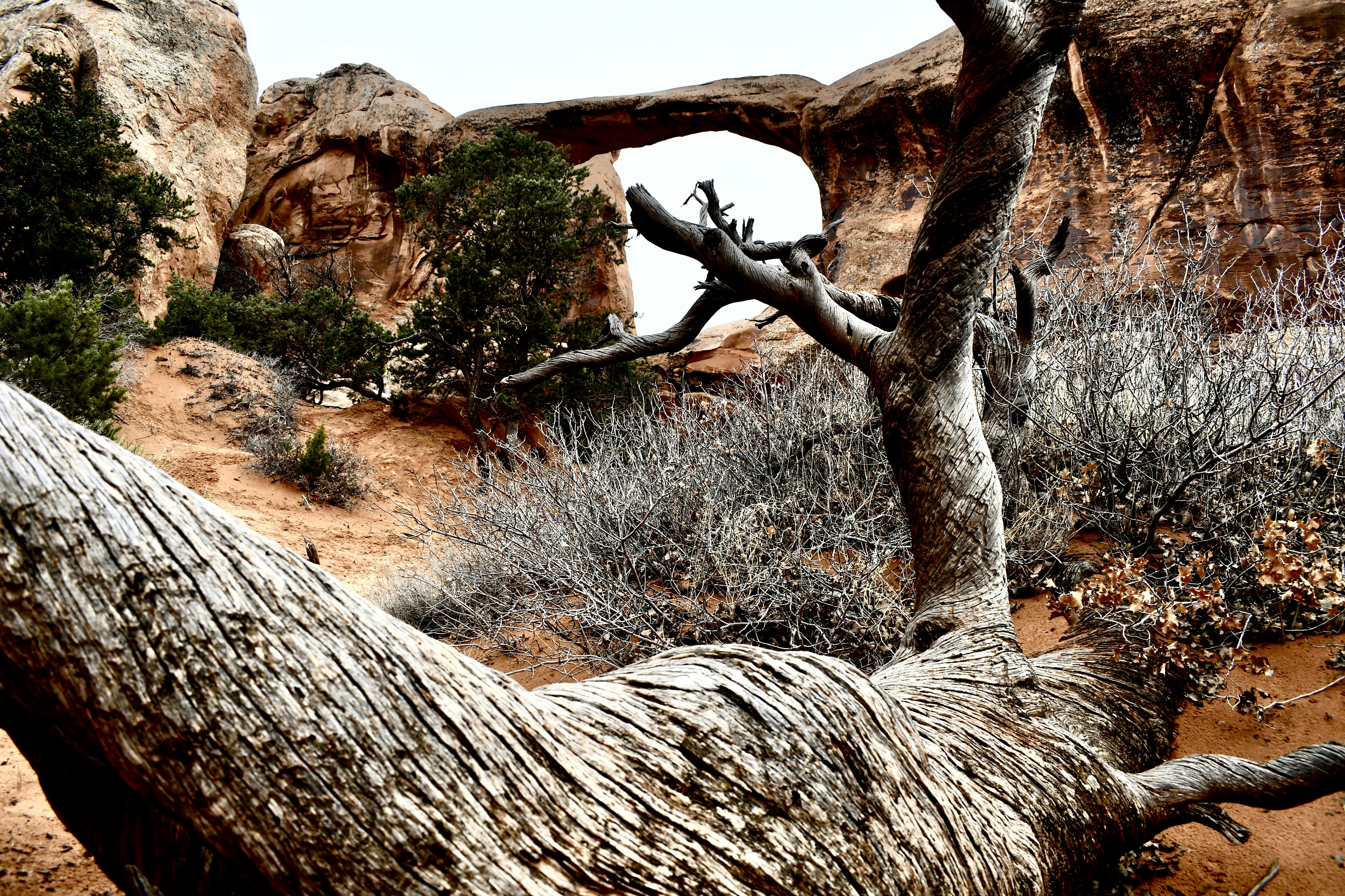 Photo by jackcharles