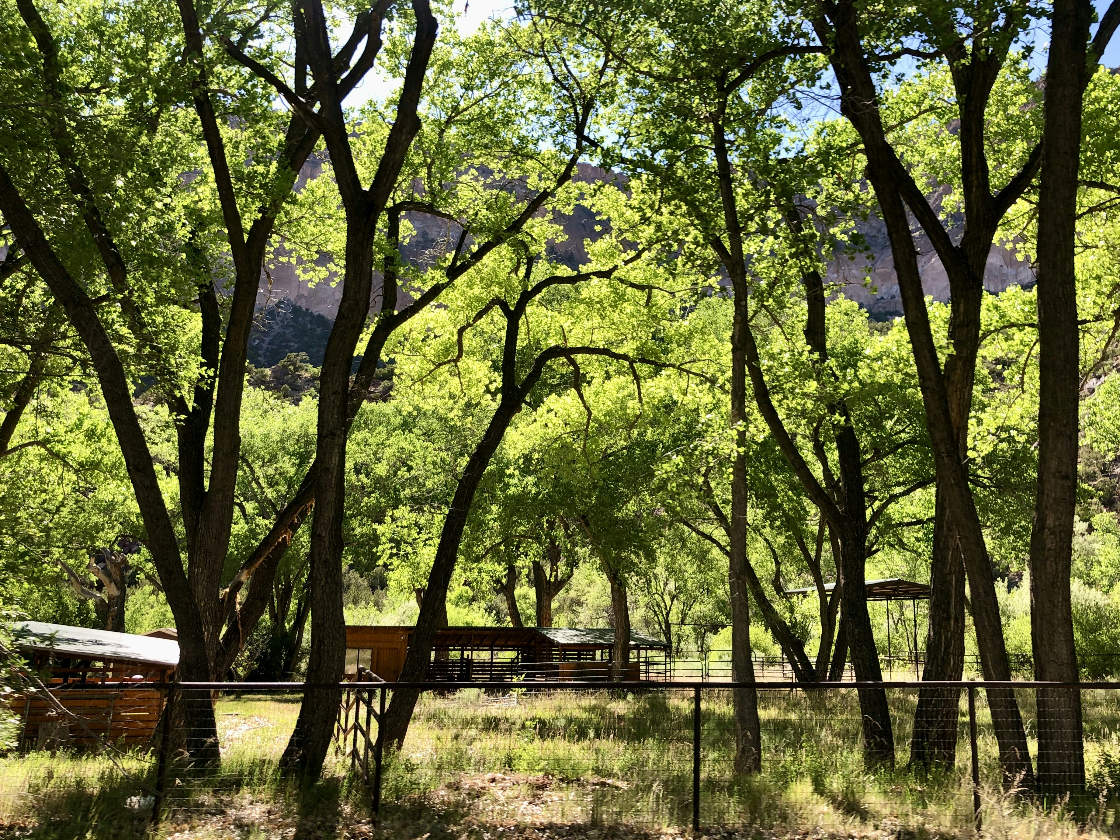 Powerline Park #3