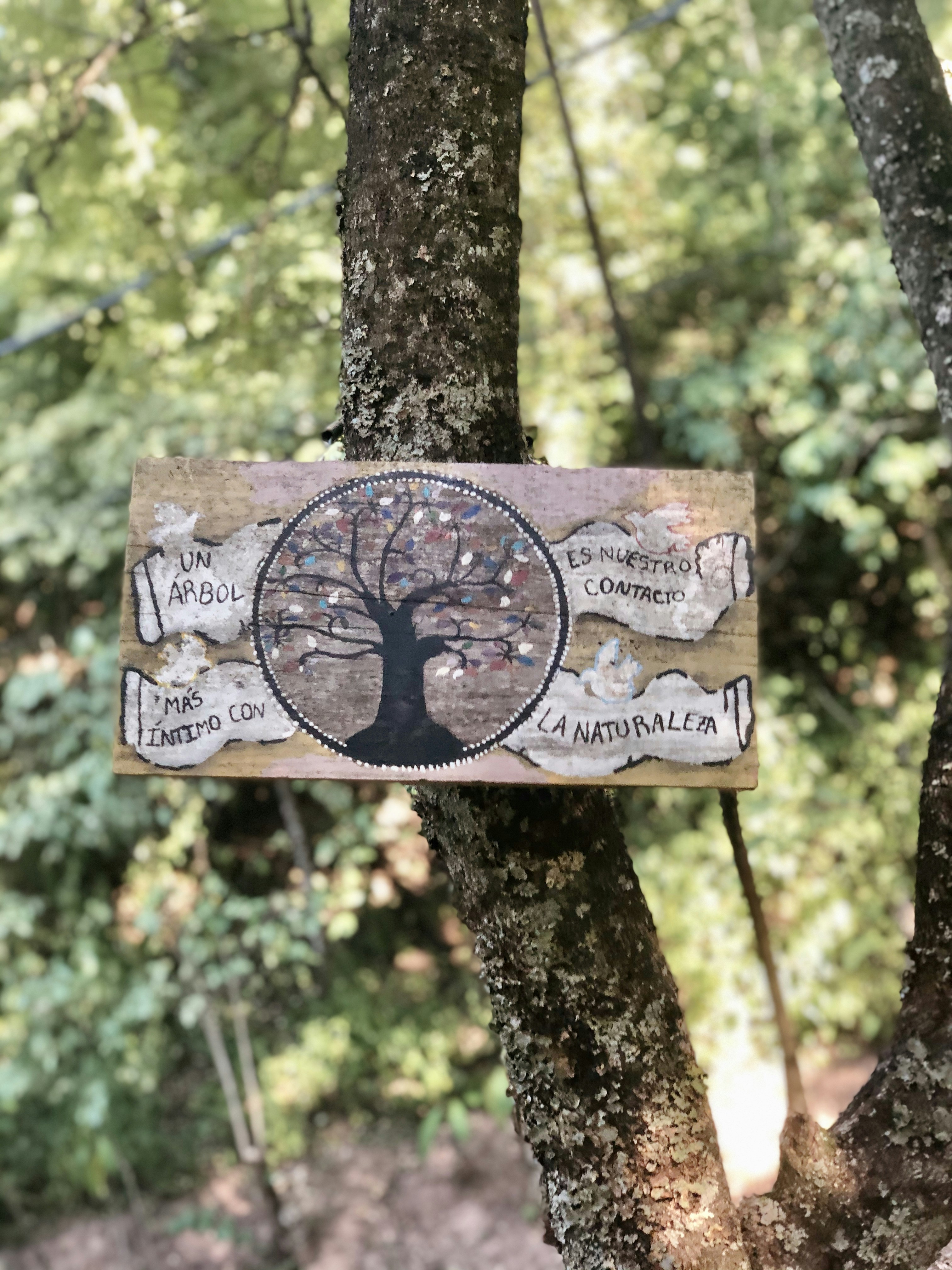 A sign hanging from the side of a tree photo – Free Plant Image on Unsplash