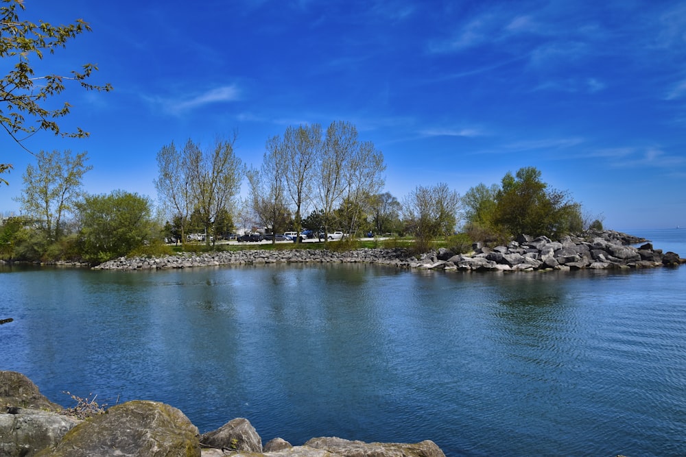 specchio d'acqua vicino agli alberi durante il giorno