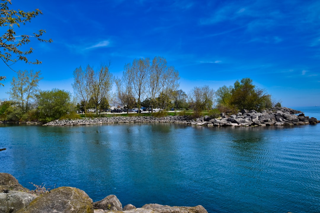 Shore photo spot Bluffers Park 15 Helene St S