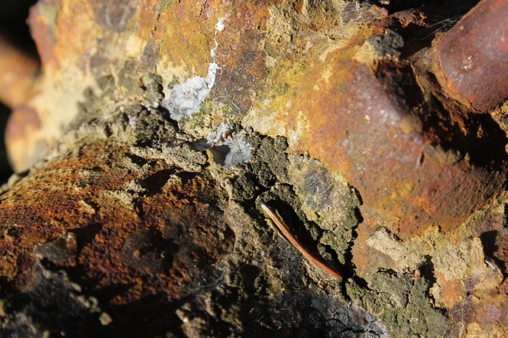 brown and black stone fragment