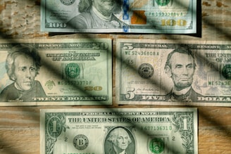 A collection of vibrant American banknotes spread out on a dark background.