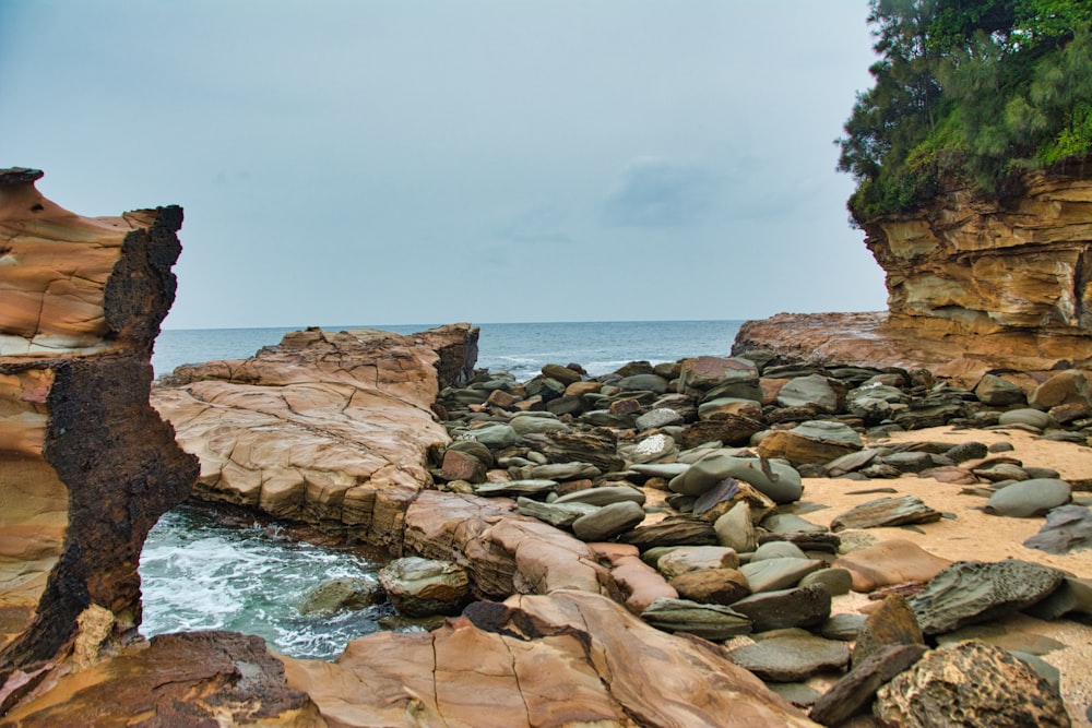 brown rocky shore with body of water during daytime