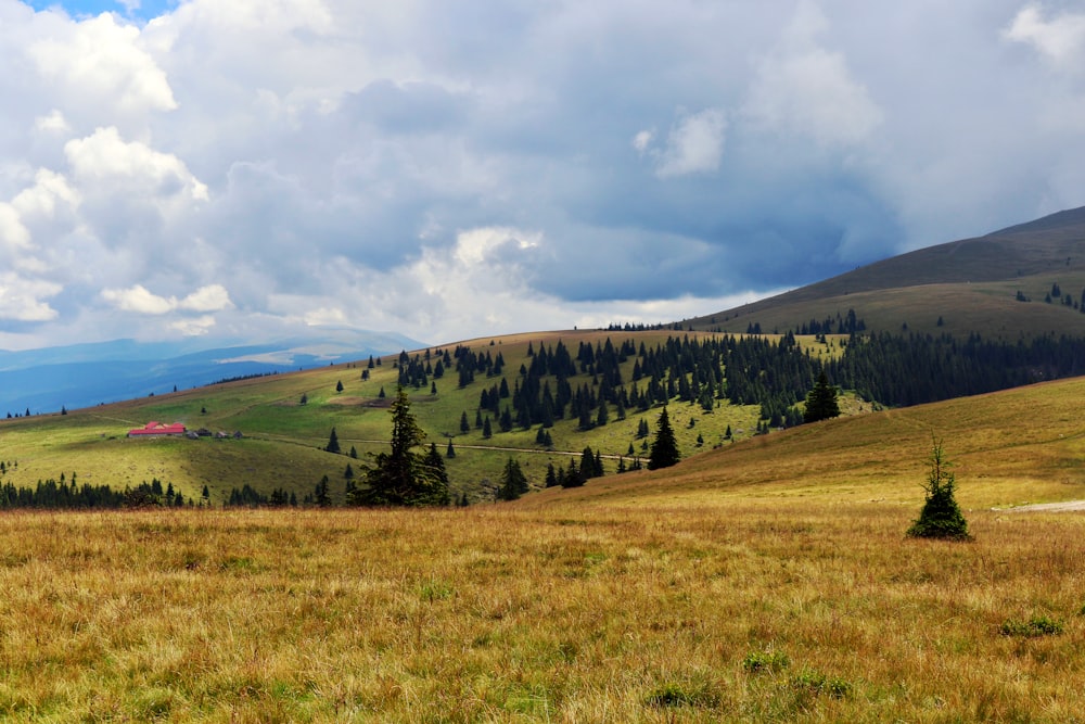 green grass field near green trees and mountains under white clouds and blue sky during daytime