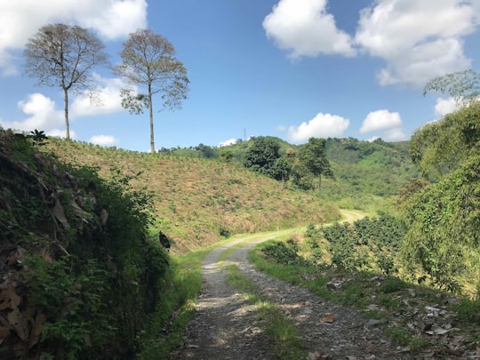 green grass field under blue sky during daytime in Manizales Colombia