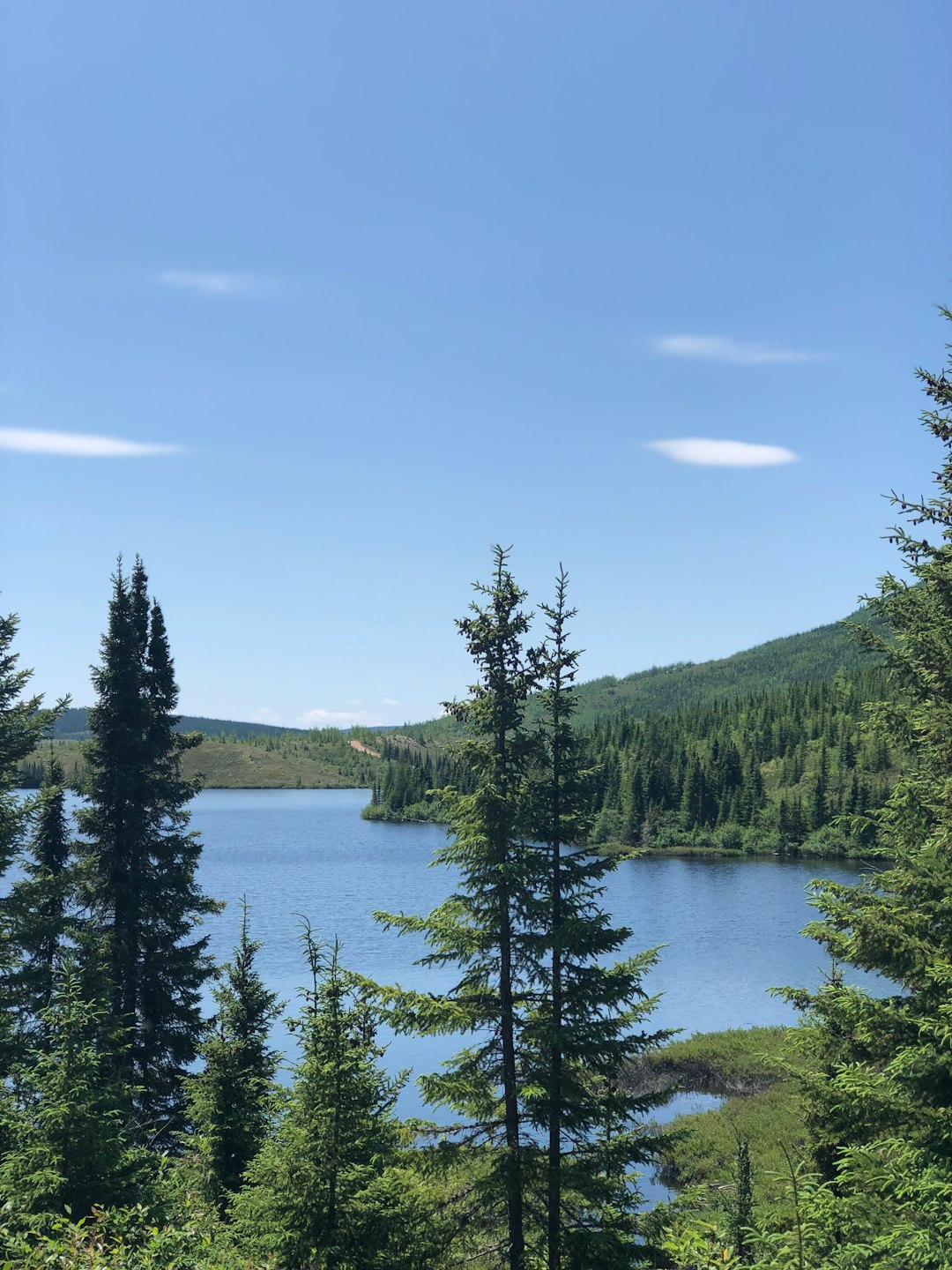 Tropical and subtropical coniferous forests photo spot Grands-Jardins National Park Parc national des Hautes-Gorges-de-la-Rivière-Malbaie