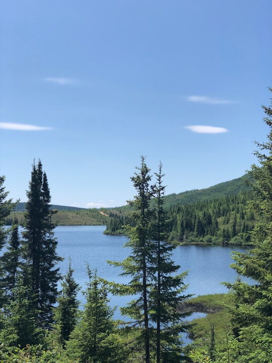 green pine trees near lake during daytime in Grands-Jardins National Park Canada