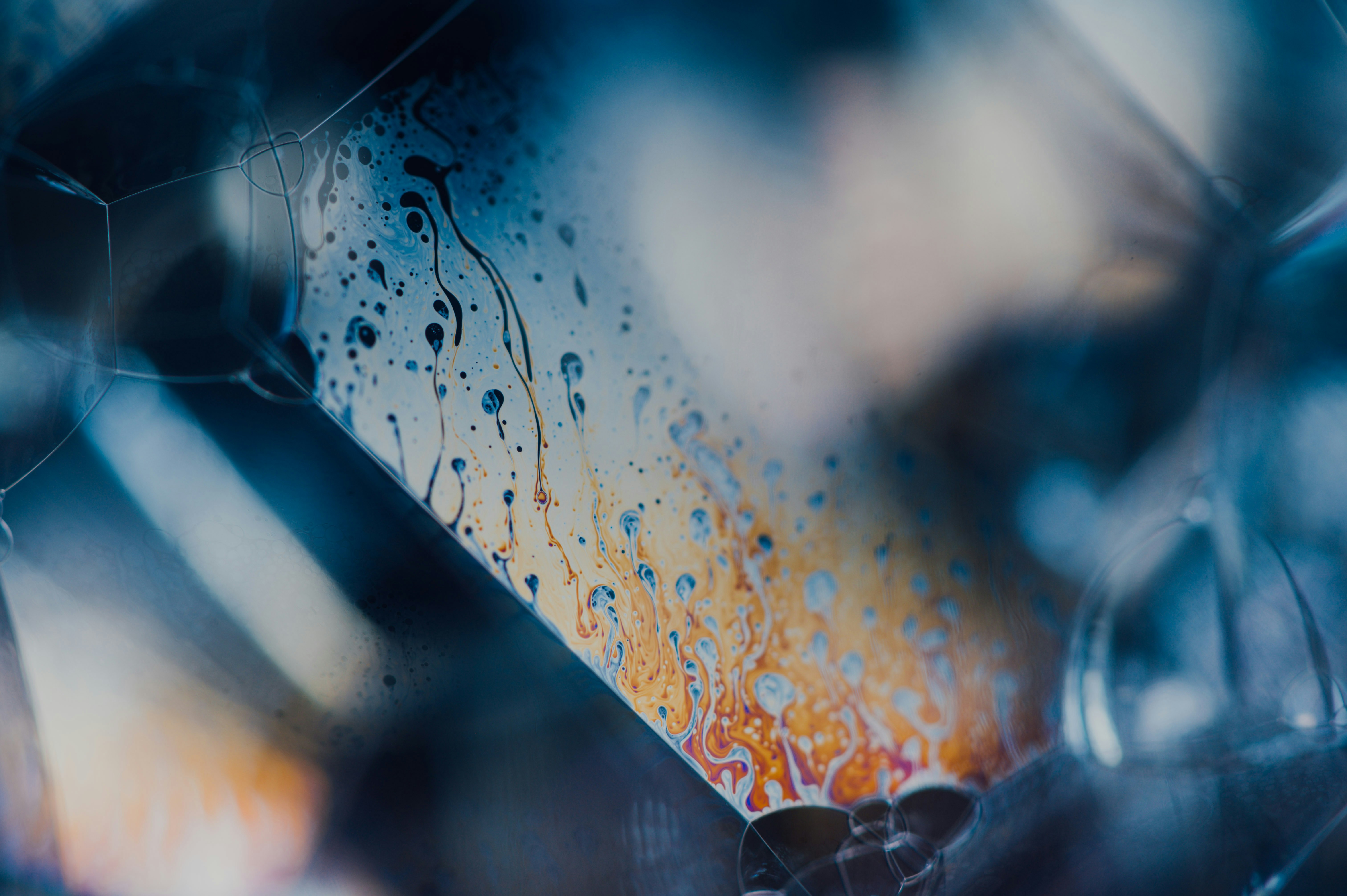 Photo by chuttersnap