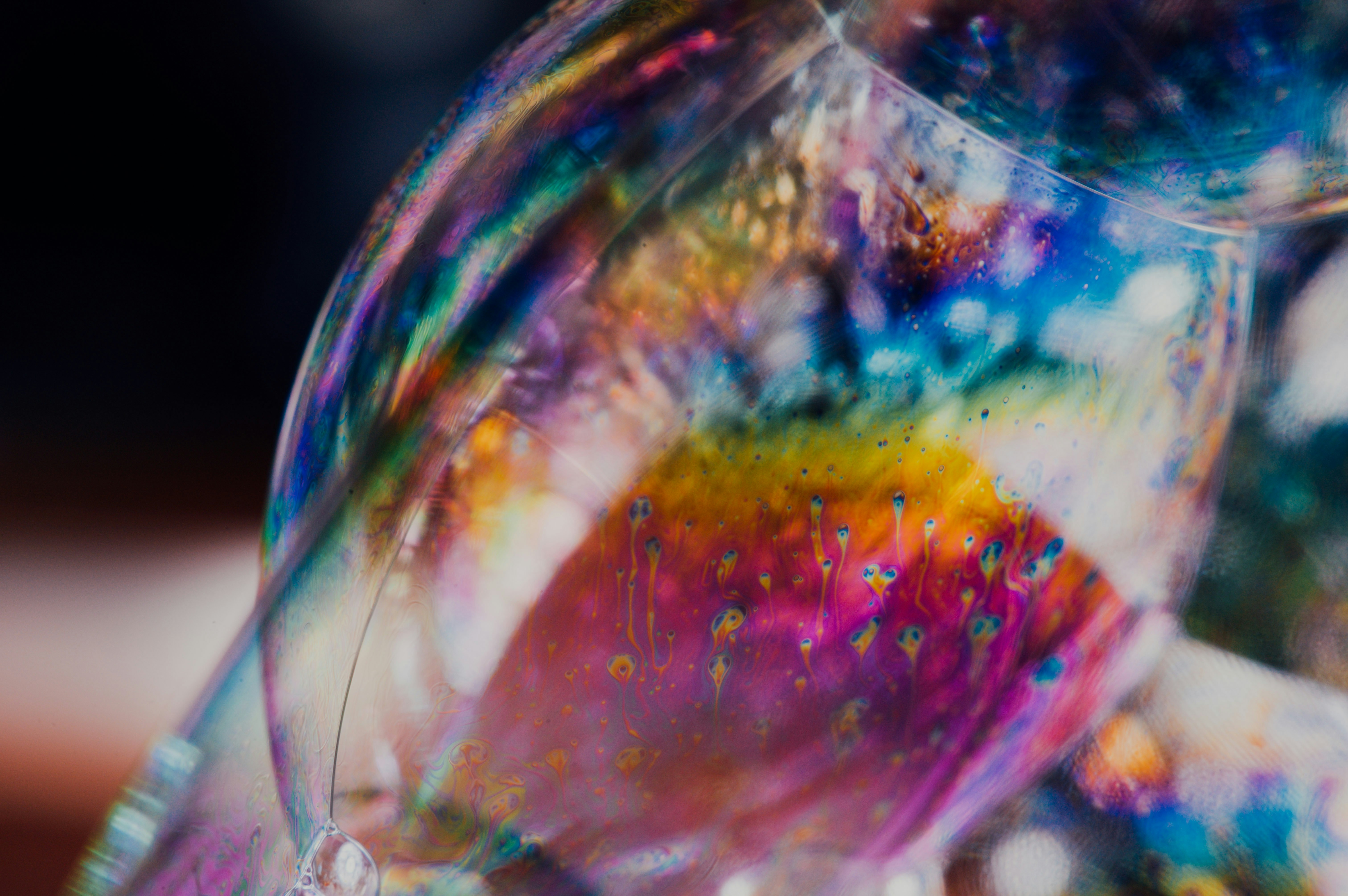 Photo by chuttersnap