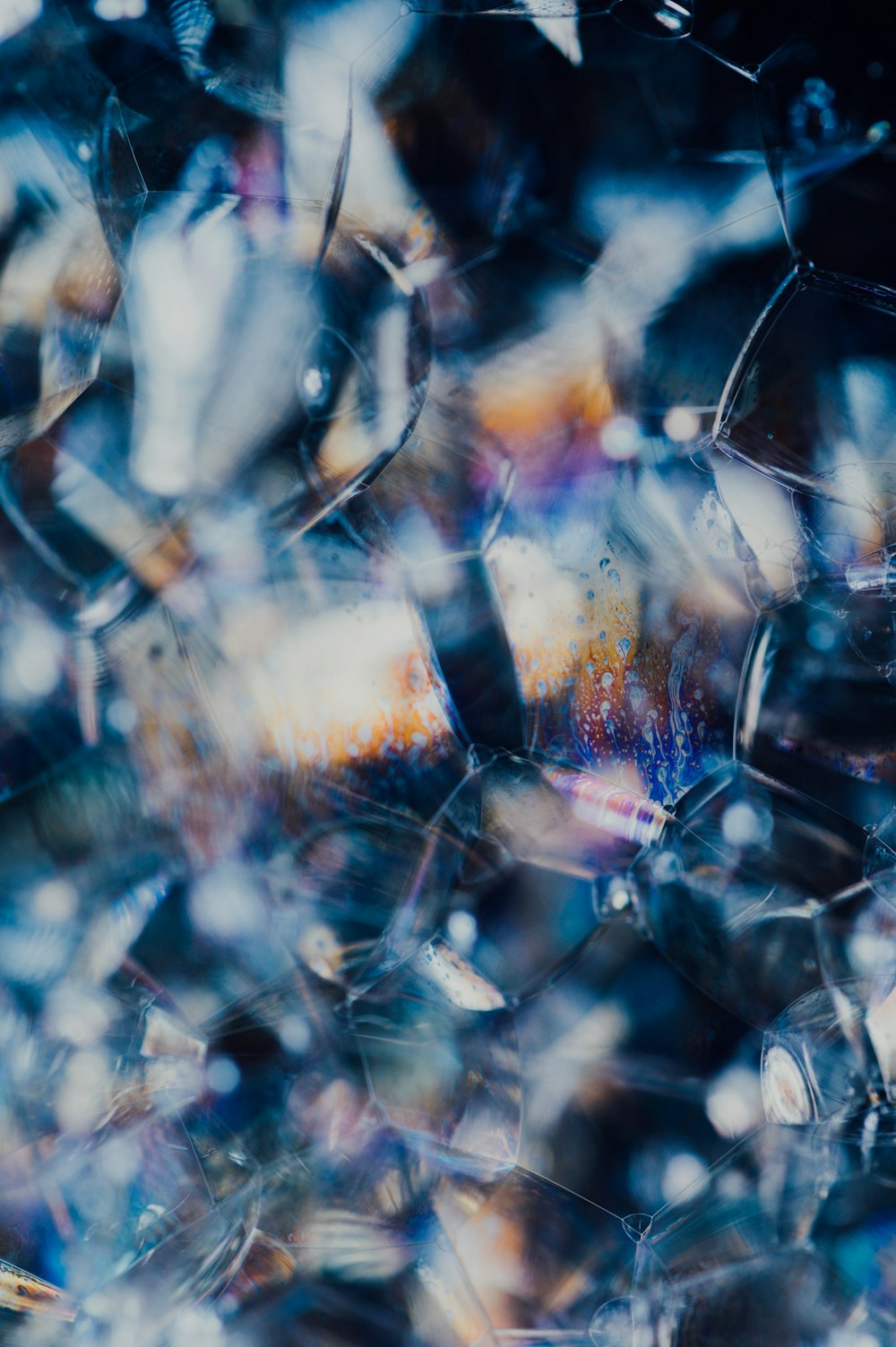 water droplets on spider web in close up photography