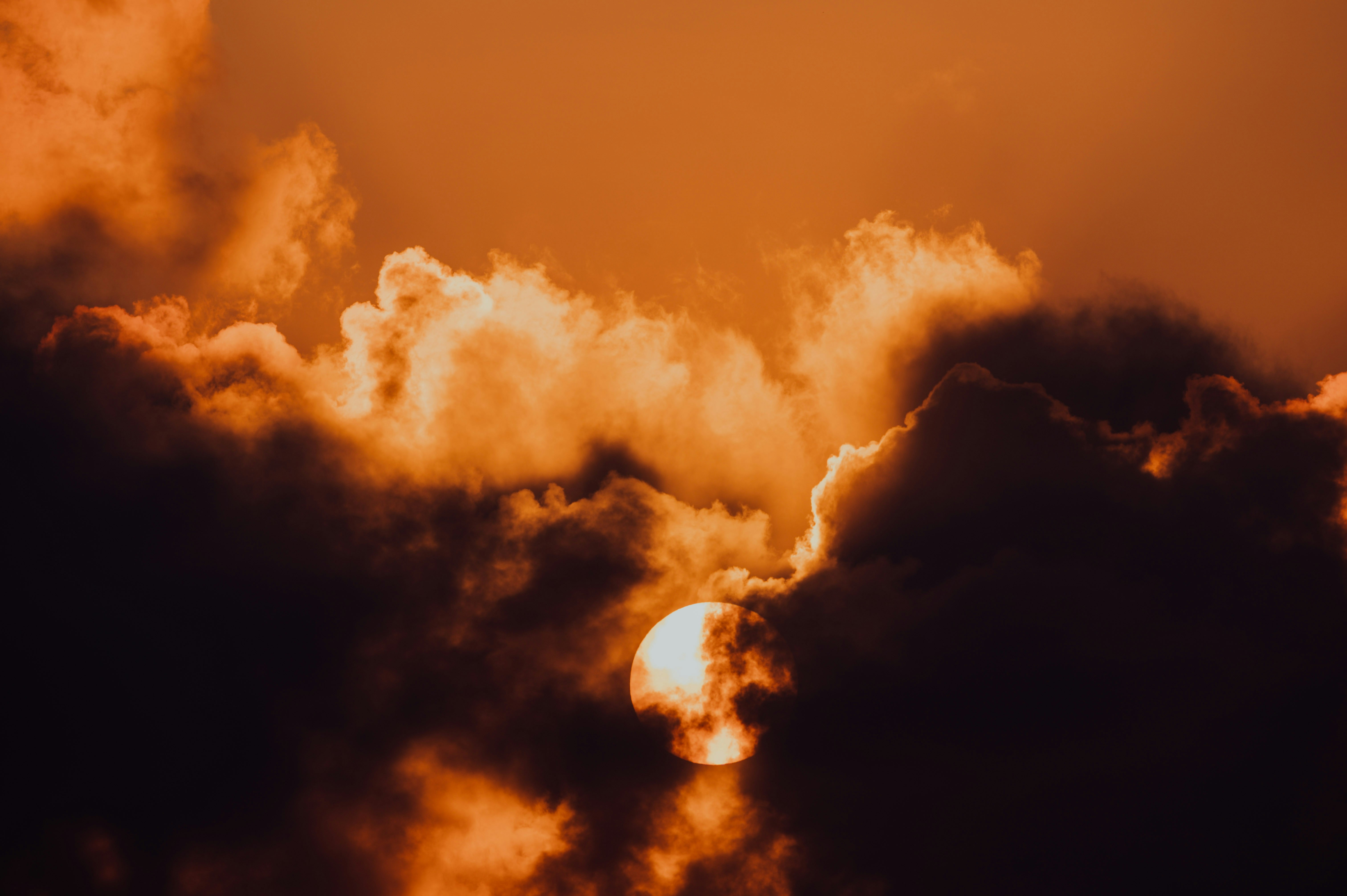 Photo by chuttersnap