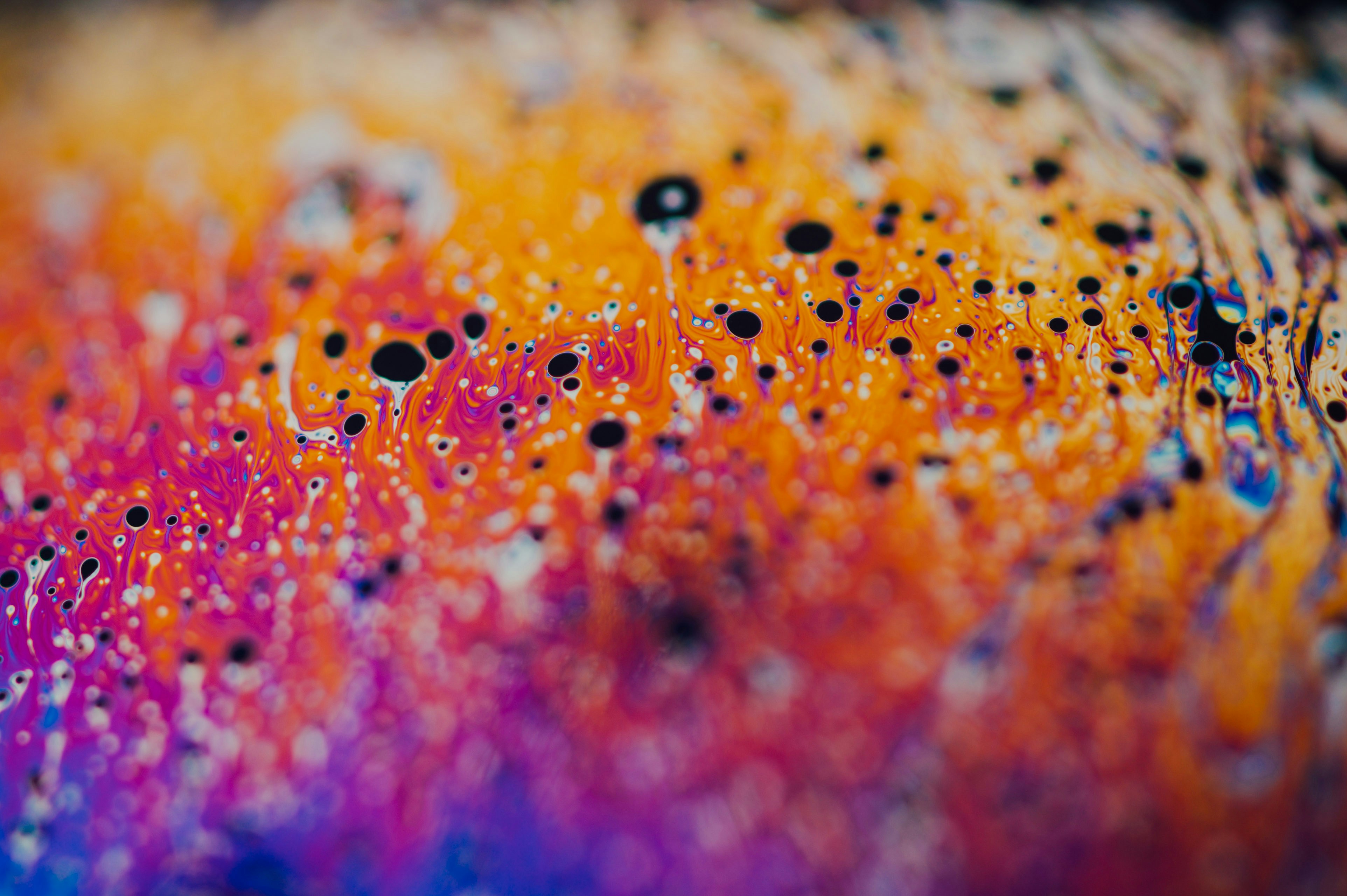 Photo by chuttersnap