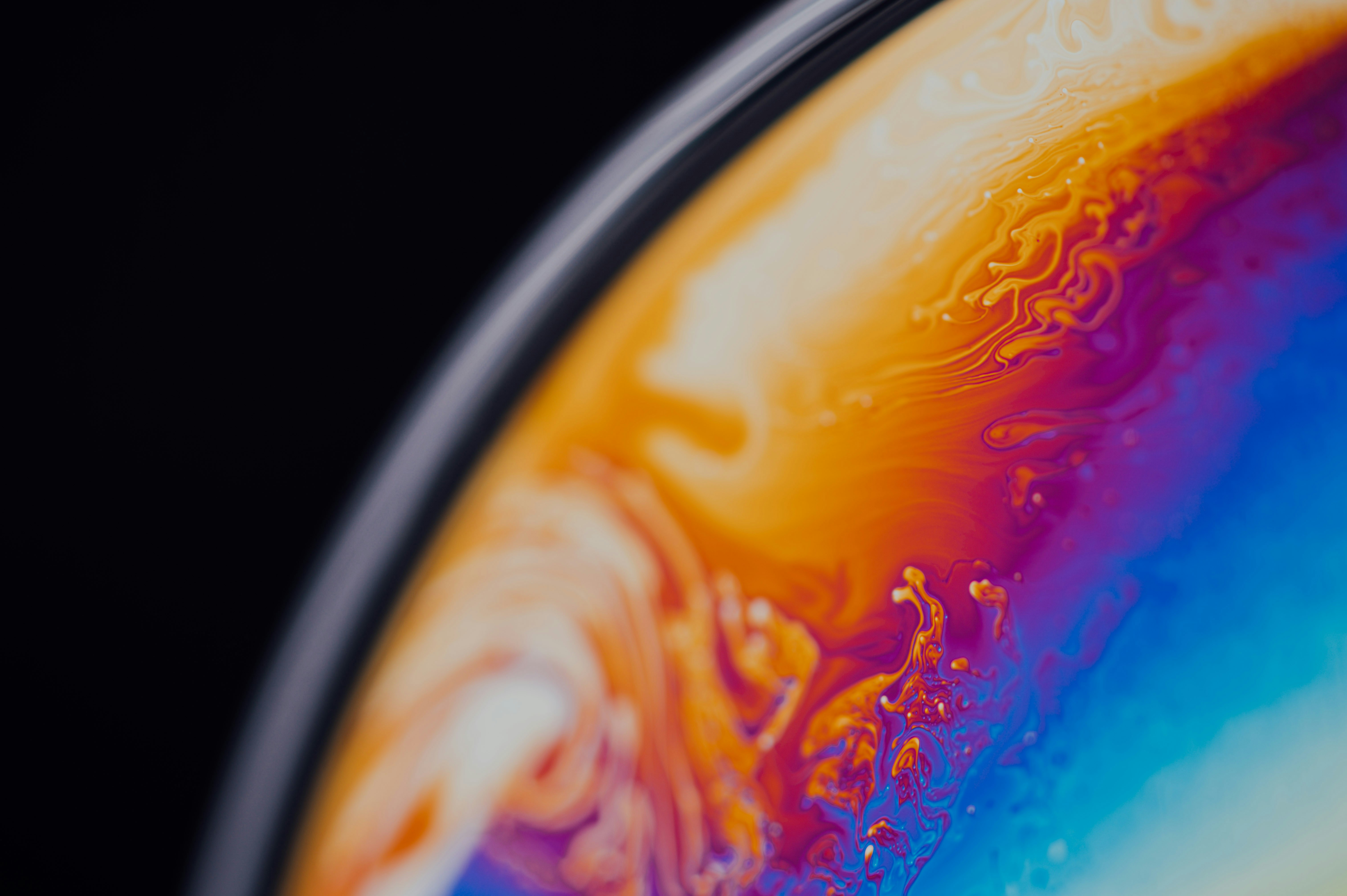 Photo by chuttersnap