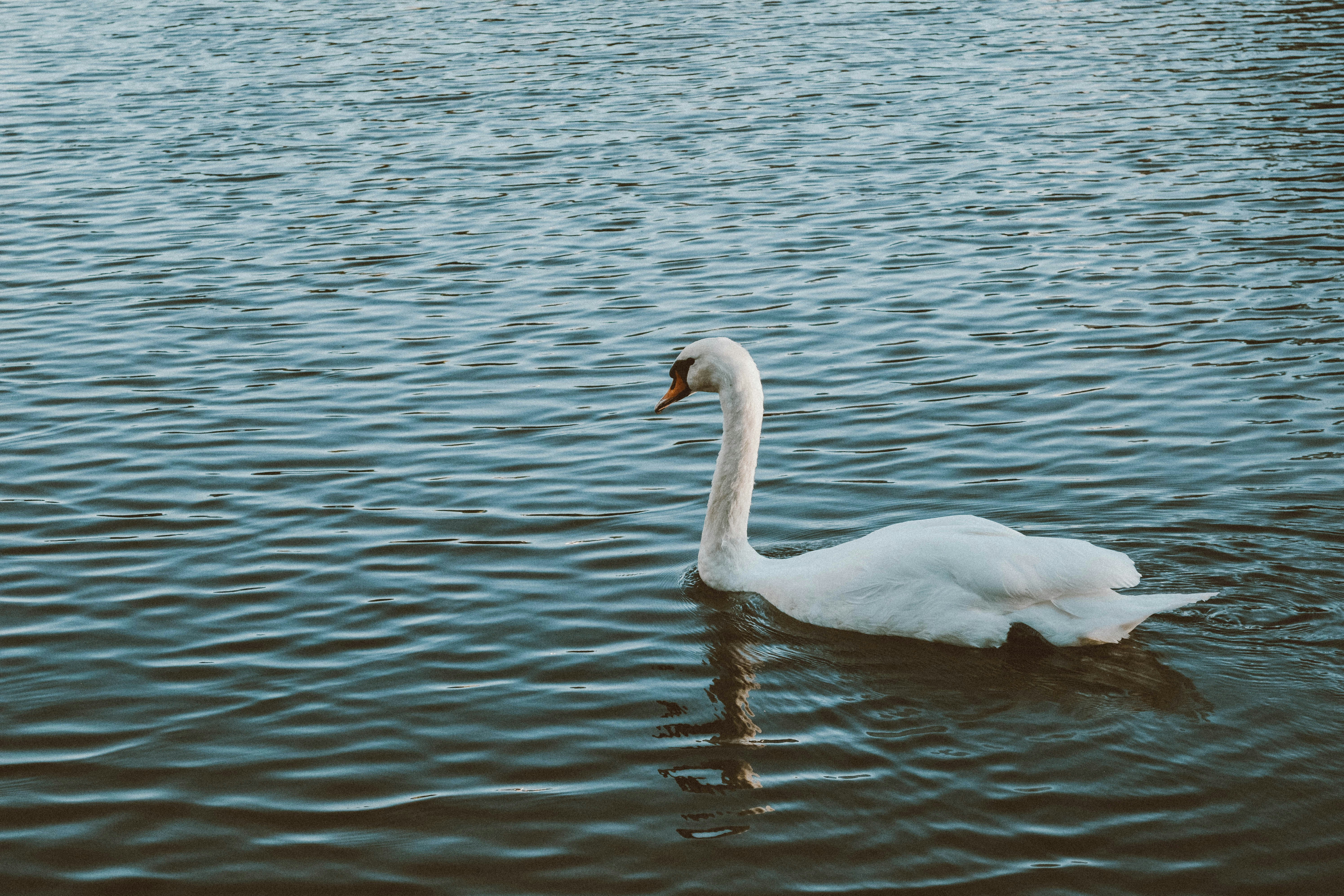 Photo by maddieleopardo