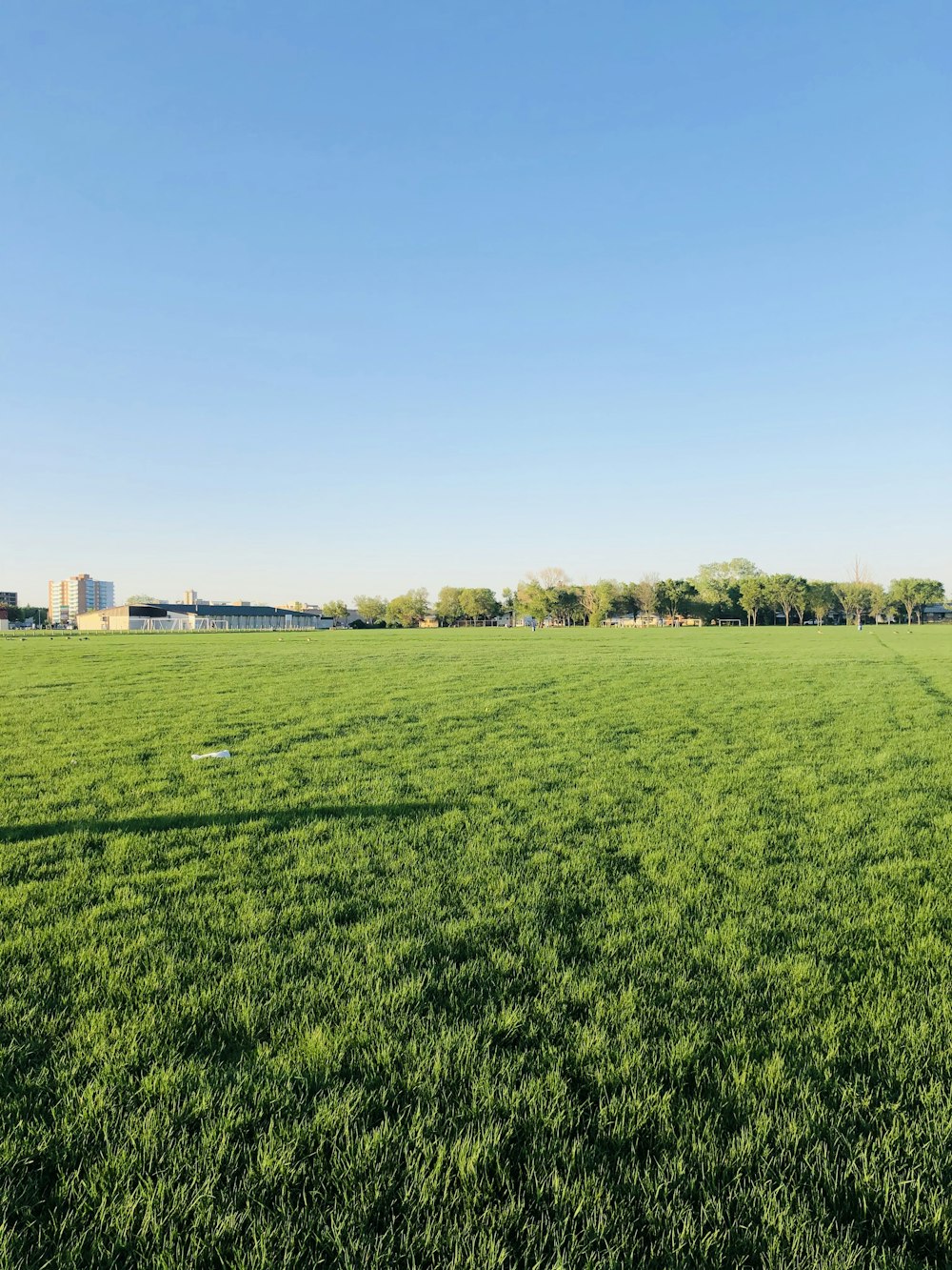 green grass field under blue sky during daytime