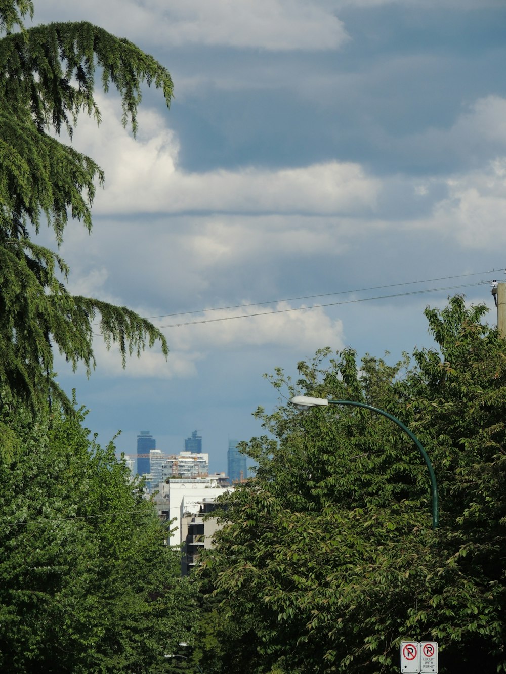 green trees near white concrete building under blue sky during daytime