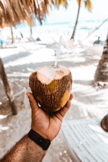 person holding brown coconut fruit