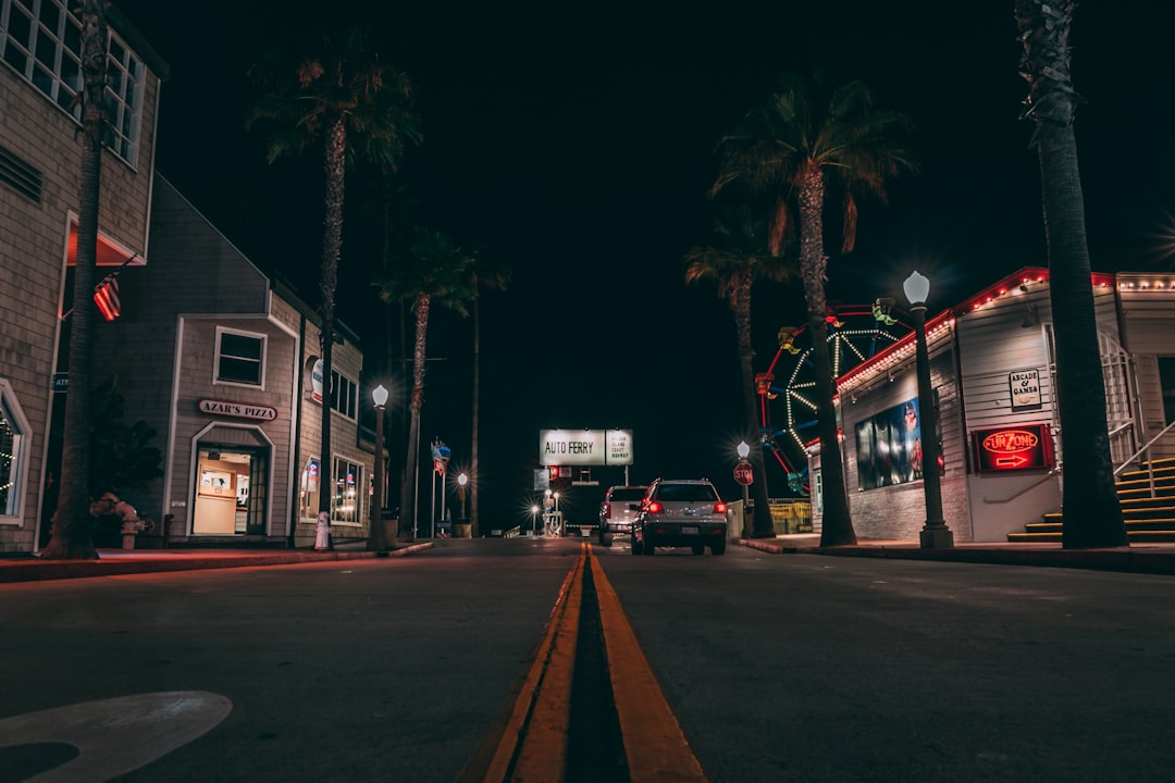 white and red bus on road during night time