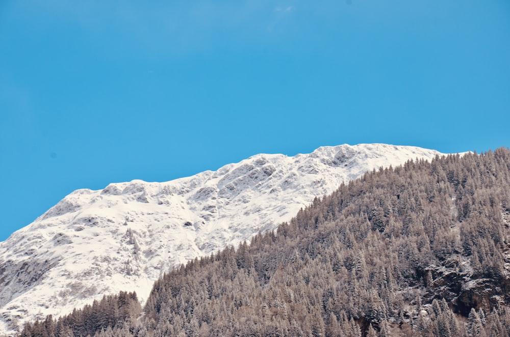 snow covered mountain during daytime