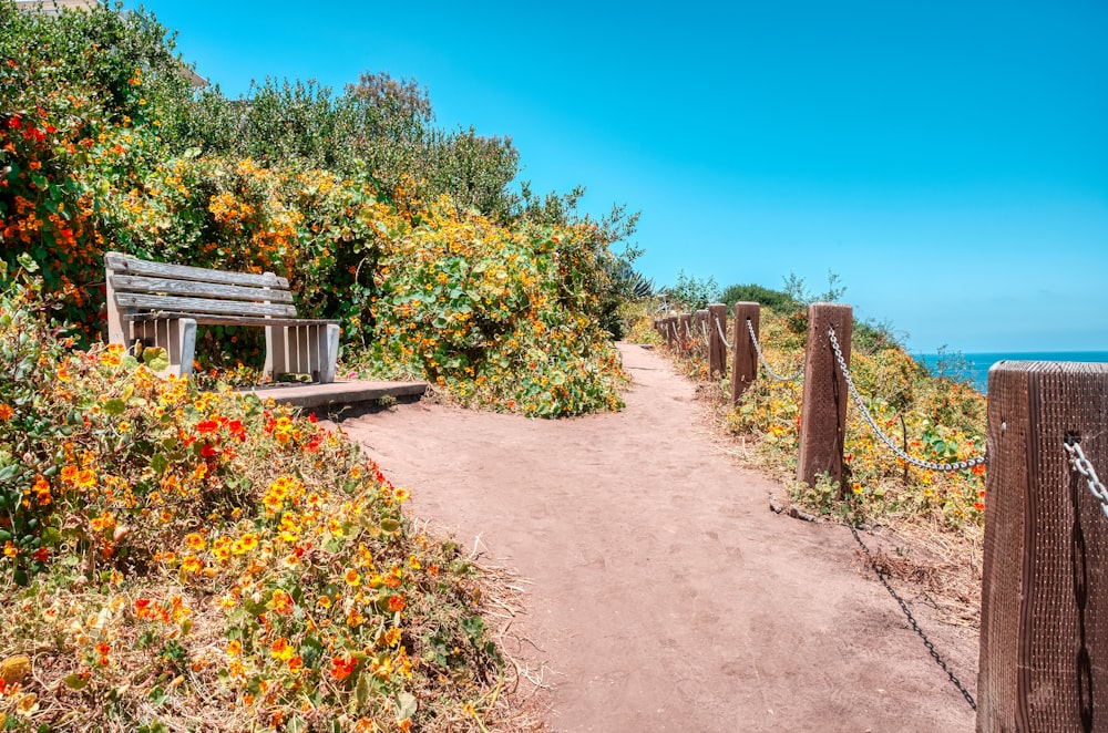 green trees and plants on brown dirt road