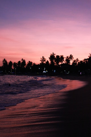 A tranquil beach at sunset with gentle waves and palm trees swaying in the breeze.
