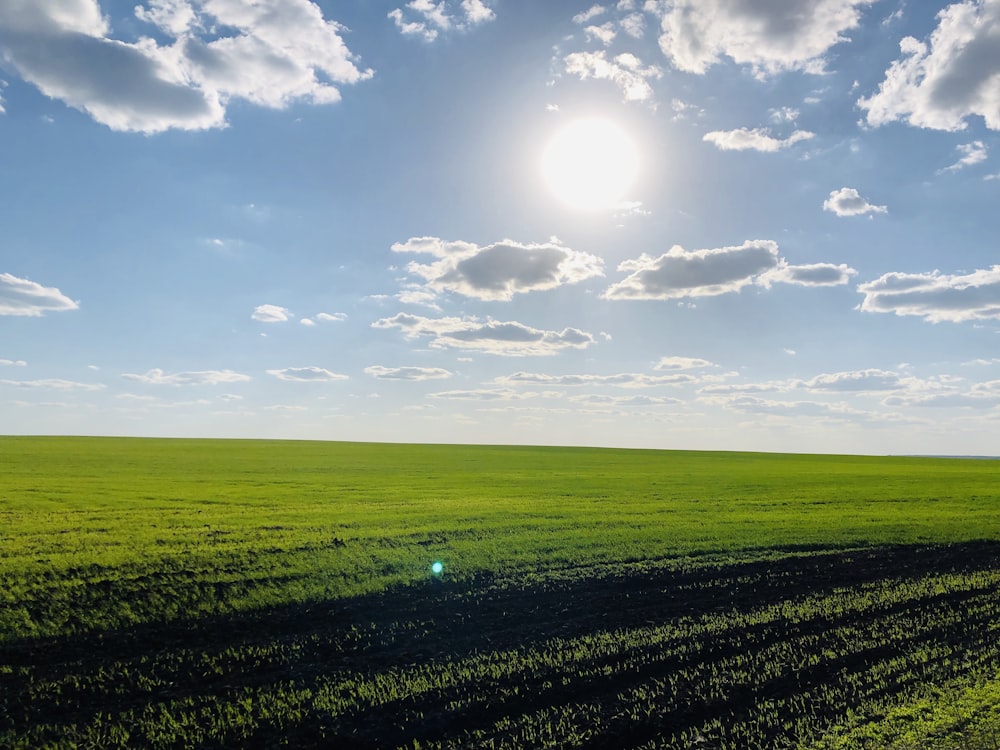 Champ d’herbe verte sous le ciel bleu pendant la journée