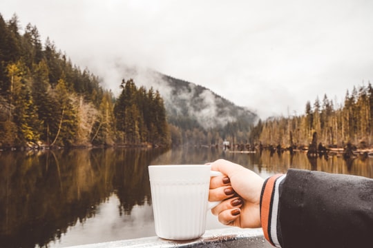 person holding white ceramic mug in Coquitlam Canada